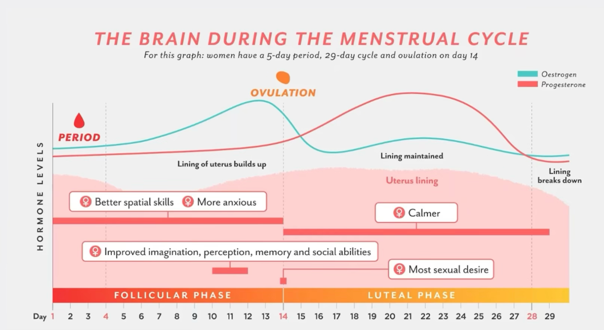 TO so dejstva, ki bi jih vsaka ženska morala vedeti o hormonih